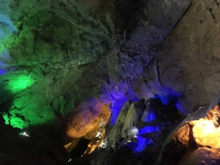 t_2018-07-01 10.04.06-1.jpg